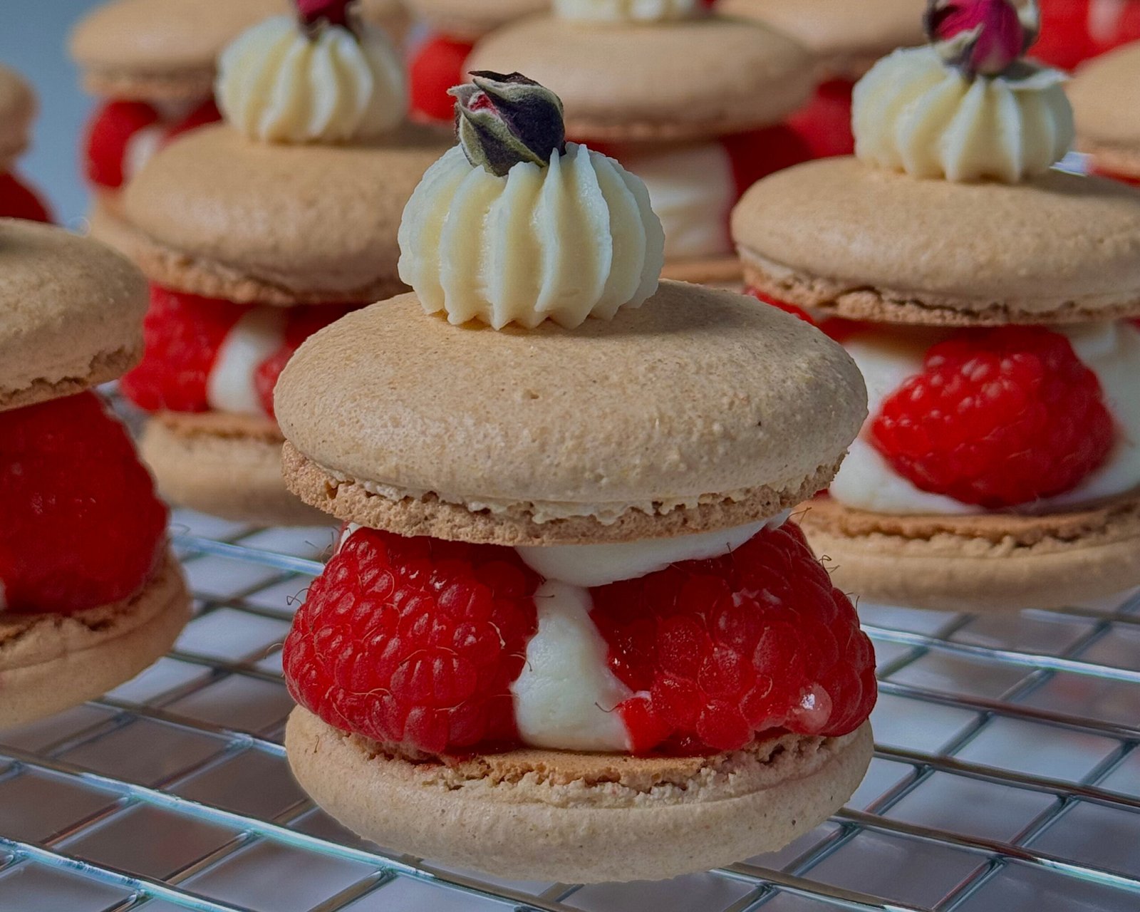 b4440162-5e1a-4909-a4ed-75126e857676 b4440162-5e1a-4909-a4ed-75126e857676