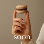 PRO MACARONS